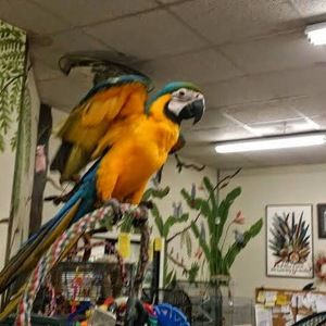 Meet your Posher, Jonathan